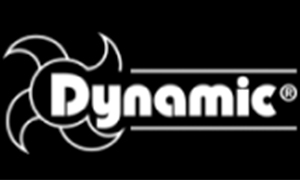 Логотип Dynamic