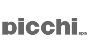 Логотип Picchi